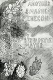 Mayer, Bernadette: Another Smashed Pinecone