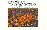 Ulrich, Larry: Wildflowers of California