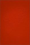 Gilden, Bruce: Coney Island 1969-1986 Gilden, Bruce: Coney Island 1969-1986