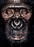 Mollison, James: James and Other Apes Mollison, James: James and Other Apes