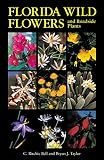 Taylor, Bryan C.: Florida Wild Flowers & Roadside Plants Taylor, Bryan C.: Florida Wild Flowers & Roadside Plants
