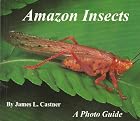 Amazon Insects - A Photo Guide by James L.…