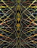 Volk, Gregory: Fred Tomaselli