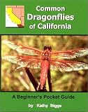 Biggs, Kathy: Common Dragon Flies of California: A Beginner's Pocket Guide