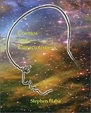Blaha, Stephen: Cosmos and Consciousness: Quantum Computers, Superstrings, Programming, Egypt, Quarks, Mind Body Problem, and Turing Machines