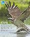 RSPB British Birds of Prey