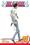 Kubo, Tite: Bleach 21: Be My Family or Not