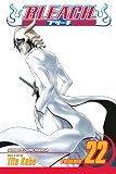 Kubo, Tite: Bleach 22