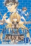 Yabuki, Kentaro: Black Cat 18 Yabuki, Kentaro: Black Cat 18