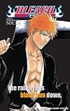 Kubo, Tite: Bleach SOULs: Official Character Book