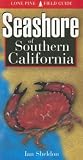 Sheldon, Ian: Seashore of Southern California Sheldon, Ian: Seashore of Southern California