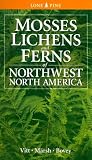 Vitt, Dale H.: Mosses Lichens & Ferns of Northwest North America