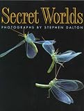 Dalton, Stephen: Secret Worlds