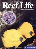 Ferrari, Andrea: Reef Life