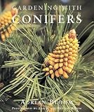 Bloom, Adrian: Gardening With Conifers