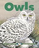 Mason, Adrienne: Owls