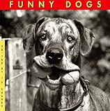 Martin, Jane: Funny Dogs Martin, Jane: Funny Dogs
