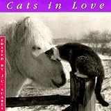 Suares, J.C.: Cats in Love Suares, J.C.: Cats in Love