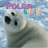 Creative Publishing International: Polar Babies