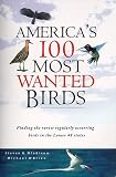 Mlodinow, Steven G.: America's 100 Most Wanted Birds: Finding the Rarest Regularly Occuring Birds in the Lower 48 States