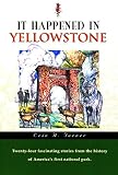 Turner, Erin H.: Falcon It Happened in Yellowstone