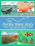 Lantz, Peggy S.: The Florida Water Story: From Raindrops to the Sea Lantz, Peggy S.: The Florida Water Story: From Raindrops to the Sea
