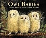 Waddell, Martin: Owl Babies