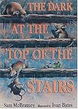 McBratney, Sam: Dark at the Top of the Stairs