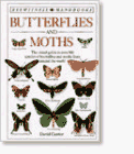 Carter, David J.: Butterflies and Moths