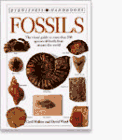 Ward, David J.: Fossils
