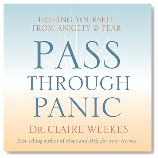 Pass Through Panic: Freeing Yourself from Anxiety and Fear [Audiobook, Unabridged] [Audio CD]