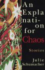 Schumacher, Julie: An Explanation for Chaos