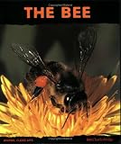 Starosta, Paul: Bee: Friend of the Flowers