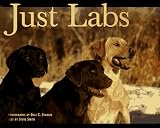 Smith, Steve: Just Labs