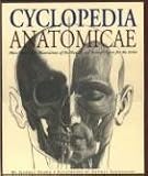 Feher, Gyorgy: Cyclopedia Anatomicae: More Than 1,000 Illustrations of the Human and Animal Figure for the Artist