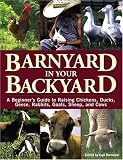 Damerow, Gail: Barnyard in Your Backyard: A Beginner's Guide to Raising Chickens, Ducks, Geese, Rabbits, Goats, Sheep, and Cattle