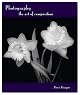 Photography: The Art of Composition