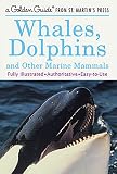 Fichter, George S.: Whales, Dolphins: And Other Marine Mammals Fichter, George S.: Whales, Dolphins: And Other Marine Mammals