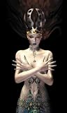 Haberlin, Brian: Neo Beauties: The Pin-up Art of Brian Haberlin