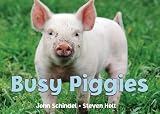Schindel, John: Busy Piggies