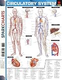 Sparknotes: Circulatory System Sparknotes: Circulatory System