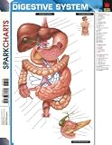 Sparknotes: Digestivesystem Sparknotes: Digestivesystem