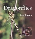 Brooks, Steve: Dragonflies Brooks, Steve: Dragonflies