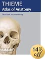 Head and Neuroanatomy