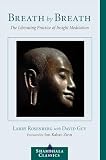 Guy, David: Breath by Breath: The Liberating Practice of Insight Meditation