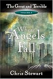Stewart, Chris: Where Angels Fall Stewart, Chris: Where Angels Fall