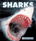 Sharks by Gary Lopez