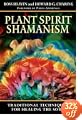 Weather Shamanism Harmonizing Our Connection with the Elements