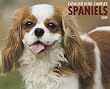 Cavalier King Charles Spaniels 2009 Calendar