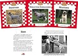 Dogs Set VI (1596792701) by Furstinger, Nancy Furstinger, Nancy: Dogs Set VI